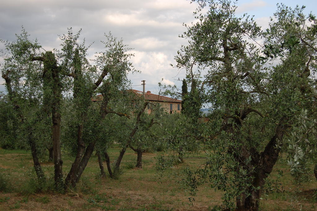 Podere Scaluccia Βίλα Impruneta Εξωτερικό φωτογραφία