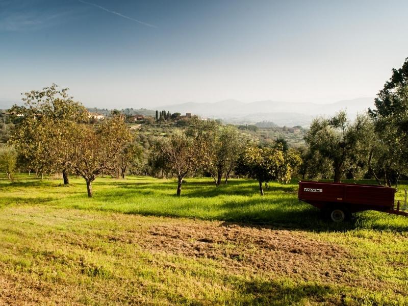 Podere Scaluccia Βίλα Impruneta Εξωτερικό φωτογραφία